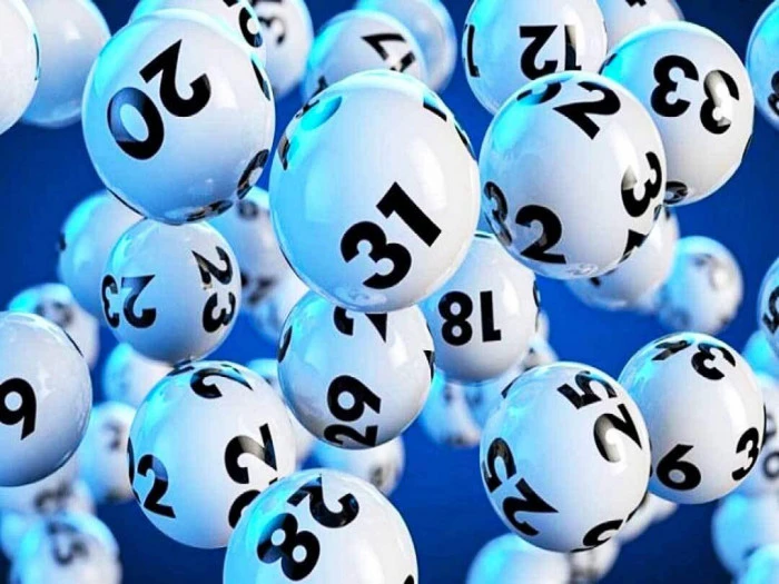 Khám Phá Thương Hiệu 88i: Đưa Trải Nghiệm Thể Thao Lên Tầm Cao Mới